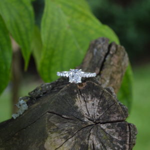 White gold engagement ring with cushion cut diamond and round shared prong diamonds in the shank